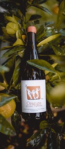 Orange Cire vin orange bio - Blanc - 2023 - Château de Cranne
