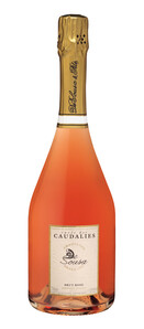 Champagne De Sousa - Champagne Sousa Cuvée des Caudalies - Rosé