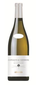 Vignobles Berthier - COTEAUX DU GIENNOIS - CLEMENT & FLORIAN - Blanc - 2020