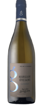 Domaine Celine et Fréderic Gueguen - BOURGOGNE COTES SALINES - Blanc - 2022