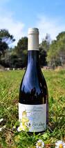 Domaine de Villeneuve - Bee Happy Carignan - Rouge - 2021