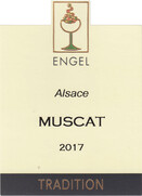 Vignobles ENGEL - Muscat d'Alsace - Blanc - 2019