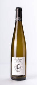 Domaine Ginglinger Pierre Henri - MUSCAT BIO - Blanc - 2023