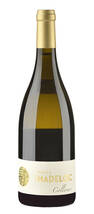 Domaine Madeloc - Domaine Madeloc Penya - Blanc - 2021