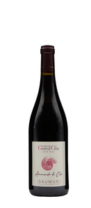 Domaine Du Grand Clos - Ammonite du Clos - Rouge - 2018