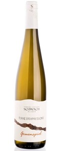 Domaine François Schwach - Domaine François Schwach Terre d'Expressions® Pinot Gris Lieu-Dit GRUENSPIEL - Blanc - 2019