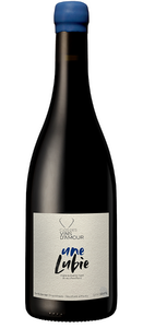 Une Lubie ( cuvée sans souffre ) - Rouge - 2021 - Clos Des Vins d’Amour