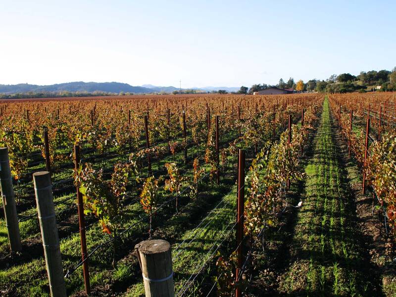 Domaine Ricardelle de Lautrec