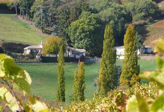 Vue depuis le vignoble du château de Javernand