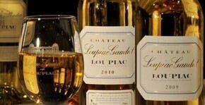 CHATEAU LOUPIAC-GAUDIET(Bordeaux) : Visite & Dégustation Vin