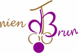 Logo du Domaine Damien Bruneau