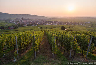 Lever de soleil sur la plaine d'Alsace