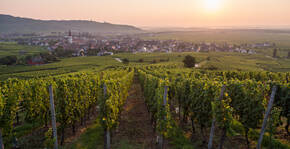 Lever de soleil sur la plaine d'Alsace