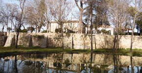 Domaine de Rieussec(Languedoc) : Visite & Dégustation Vin
