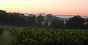 Domaine Christophe et Daniel Rampon(Beaujolais) : Visite & Dégustation Vin