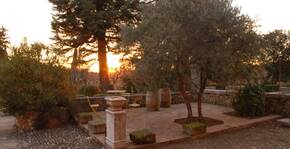 Château de la Curnière(Provence-Alpes-Côte d'Azur) : Visite & Dégustation Vin