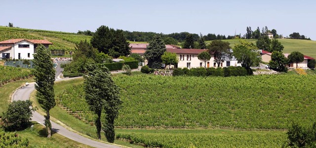 Domaine Vayssette