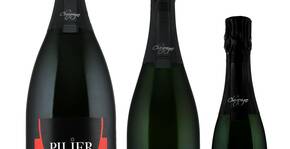Champagne Philbert et Fils(Champagne) : Visite & Dégustation Vin