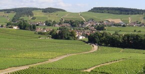 Domaine Jobard Bourland(Bourgogne) : Visite & Dégustation Vin