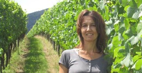 Domaine Victor Hertz(Alsace) : Visite & Dégustation Vin