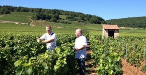 Domaine Jean-Marc Naudin - Dans les vignes
