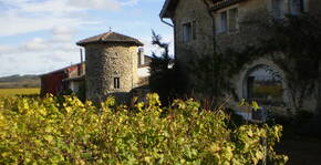 Château Piada(Bordeaux) : Visite & Dégustation Vin