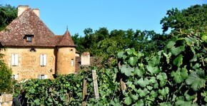 Plaimont(Sud-Ouest) : Visite & Dégustation Vin