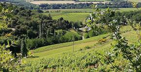 La Coume-Lumet(Languedoc) : Visite & Dégustation Vin
