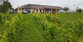 Domaine de Sainte Marie(Jura) : Visite & Dégustation Vin