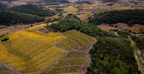 Clos Des Vins d’Amour(Roussillon) : Visite & Dégustation Vin