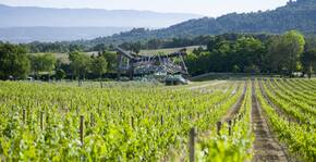 La Coste (Provence) : Visite & Dégustation Vin