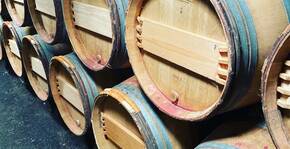 CHATEAU BAUDAN(Bordeaux) : Visite & Dégustation Vin