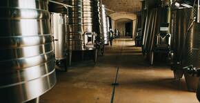 0(Loire) : Visite & Dégustation Vin