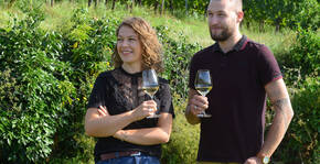 Domaine Saint-Rémy(Alsace) : Visite & Dégustation Vin