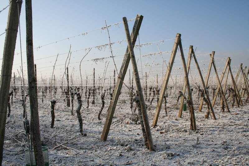 Domaine François Schwach