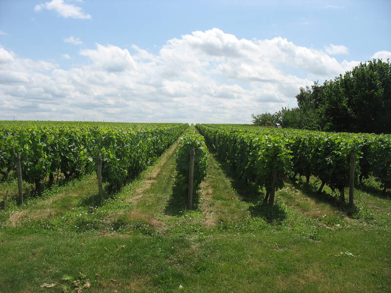 Domaine Biet